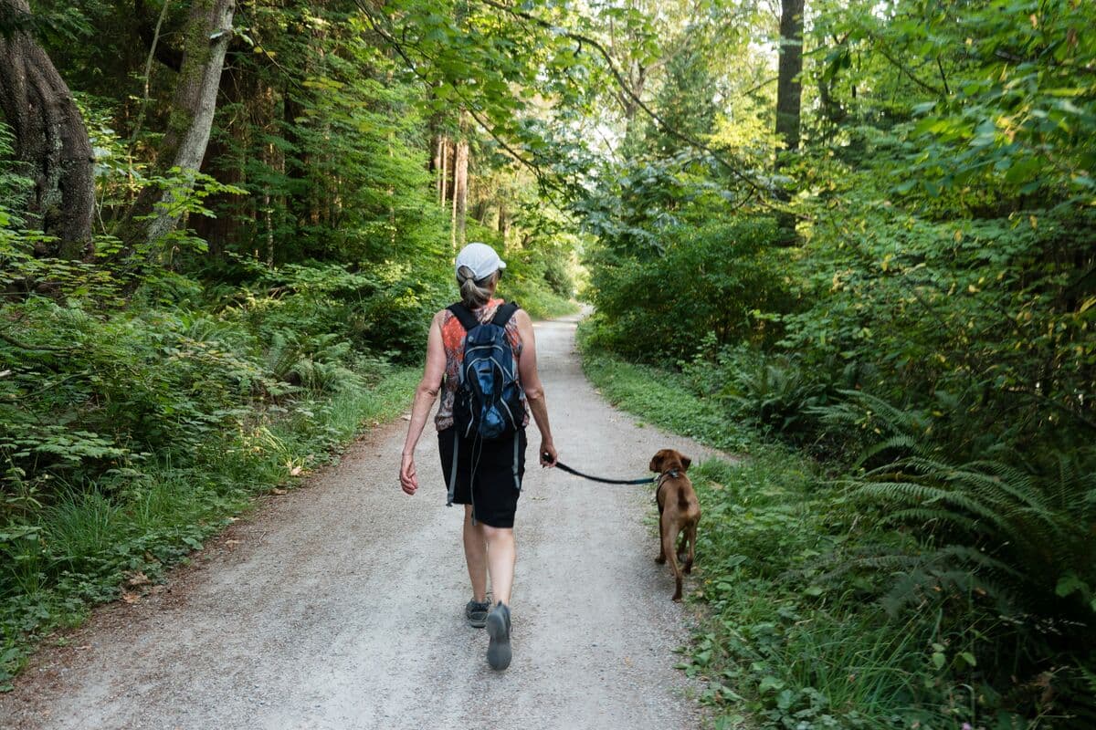 Dog walker with leashed dog on a tree-lined trail near Potomac Maryland